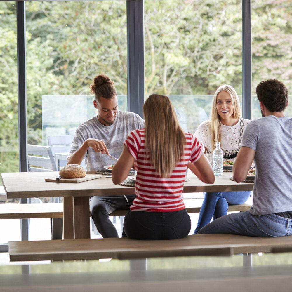 Multi ethnic group of four young adult friends talking and eating meal during a dinner party